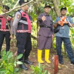 ​Putusan Inkrah, Pengadilan Negeri Barru Eksekusi Tanah Sengketa di Kecamatan Barru
