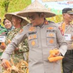 ​Sinergi Amankan Pangan, Kapolres Barru Pimpin Panen Raya Jagung di Desa Libureng