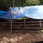 ​Diduga Jadi Lokasi Sabung Ayam, Kapolsek Mandalle Berkomitmen Tindak Lanjuti Laporan Warga