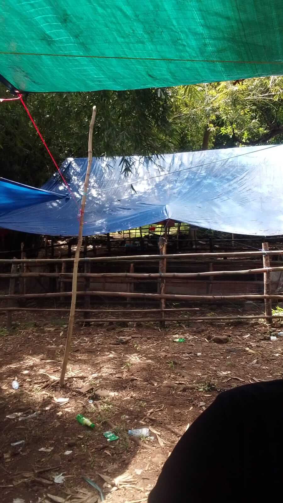 ​Diduga Jadi Lokasi Sabung Ayam, Kapolsek Mandalle Berkomitmen Tindak Lanjuti Laporan Warga