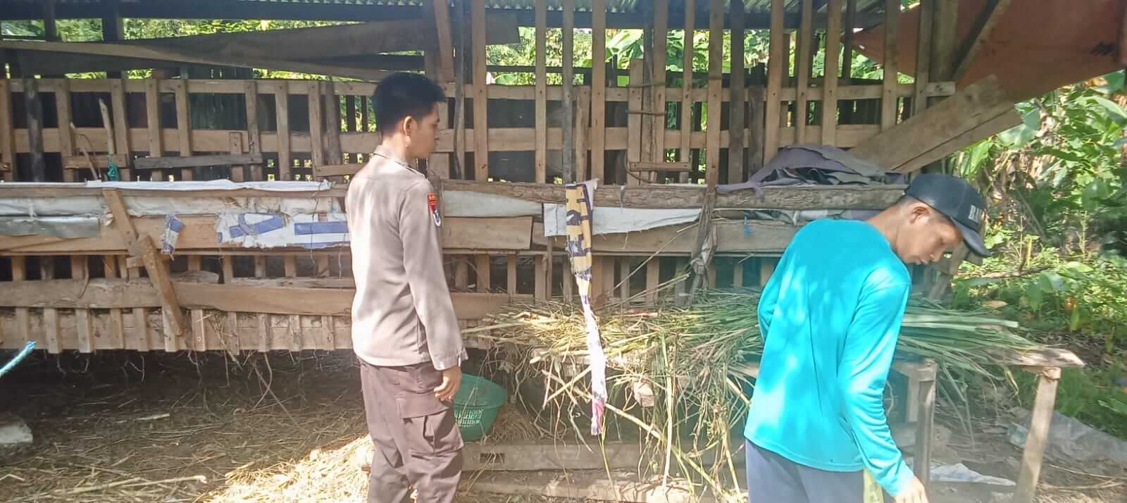 ​Kambingnya Hilang Empat Ekor, Warga Soppeng Riaja Melapor ke Polres Barru