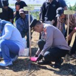 Dukung Ketahanan Pangan, Polres Barru Kawal Program Penangkaran Benih Jagung JJUH di Siawung