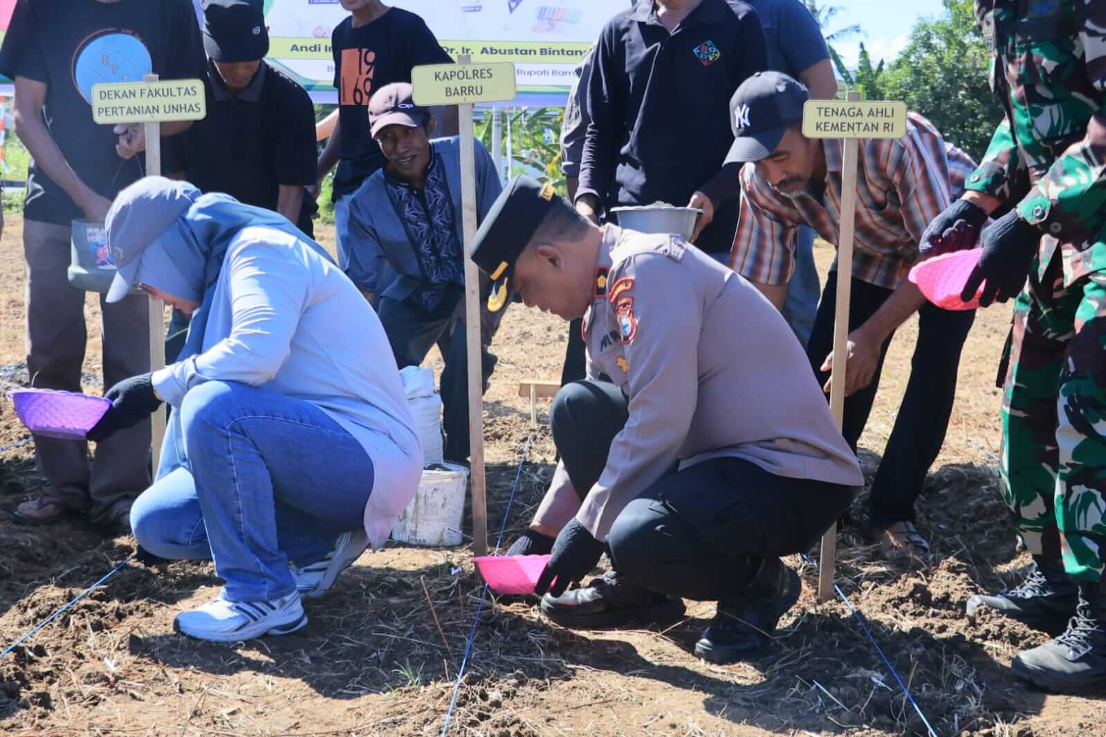 Dukung Ketahanan Pangan, Polres Barru Kawal Program Penangkaran Benih Jagung JJUH di Siawung