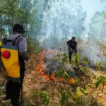 ​Kebakaran Hutan dan Lahan Melanda Gunung Tampajengnge Barru, Petugas Bersama Warga Padamkan Api dengan Alat Seadanya