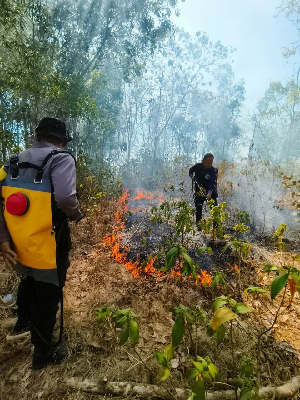 ​Kebakaran Hutan dan Lahan Melanda Gunung Tampajengnge Barru, Petugas Bersama Warga Padamkan Api dengan Alat Seadanya