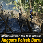 ​Mobil Damkar Tak Bisa Masuk, Anggota Polsek Bersama Damkar Gunakan Backpack Sprayer Padamkan Kebakaran Lahan di Lawae