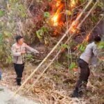 ​Cegah Api Meluas di Lisu Waenungnge, Kapolsek Tanete Riaja Terjun Langsung Amankan Kebakaran Lahan