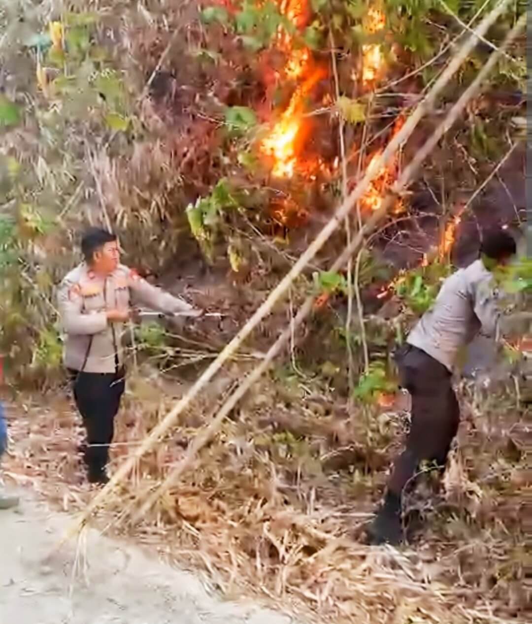 ​Cegah Api Meluas di Lisu Waenungnge, Kapolsek Tanete Riaja Terjun Langsung Amankan Kebakaran Lahan