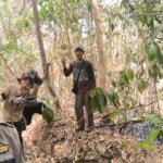 ​Respons Cepat Bhabinkamtibmas dan Warga Lempang Padamkan Kebakaran Lahan 1 Hektare di Barru