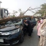 ​Pohon Tumbang Timpa Mobil Honda HR-V di Barru, Bhabinkamtibmas dan Warga Evakuasi Korban